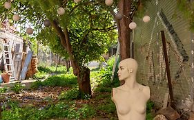 Backyard Art Studio